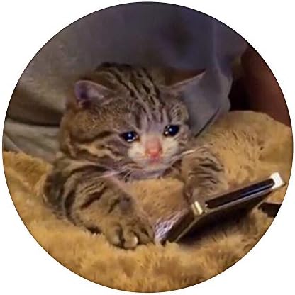 עצוב בוכה חתלתול חתול - עצב מצחיק עיצוב מם פופגריפ פופגריפ: אחיזה הניתנת להחלפה לטלפונים וטאבלטים